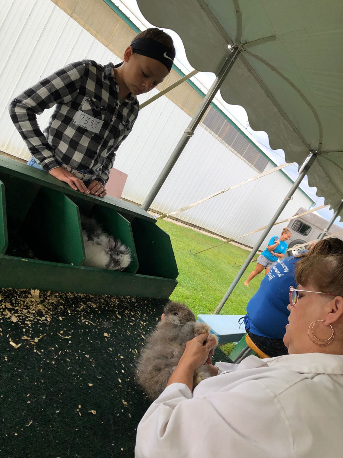 showing rabbits 2.jpg
